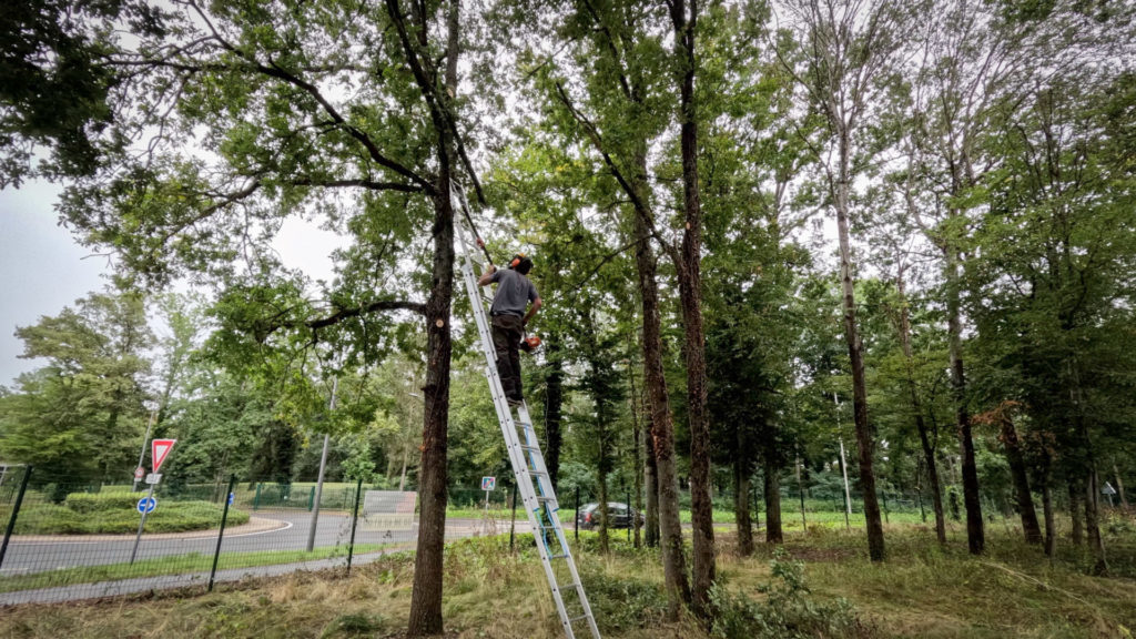 Agence Marsan {Corporate / Un coin de verdure}