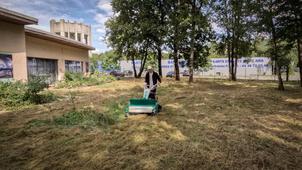 Agence Marsan {Corporate / Un coin de verdure}