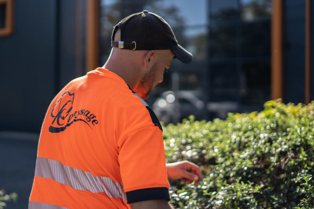 Agence Marsan {Corporate / YC Paysage}